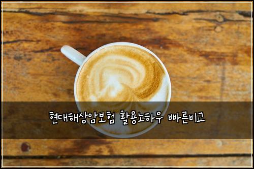 현대해상암보험 활용노하우  빠른비교