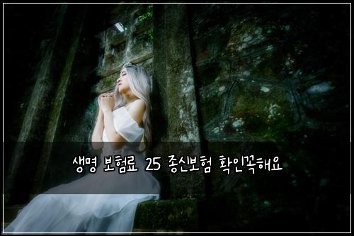 생명 보험료 25 종신보험 확인꼭해요