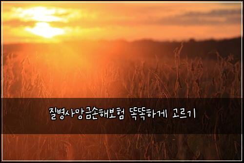 질병사망금손해보험 똑똑하게 고르기