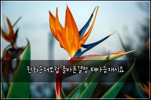 ํํ์ํด๋ณดํ ์ฌ๋ฐ๋ฅธ๊ฒฐ์ ํ์๋ฑ์ฌ์์