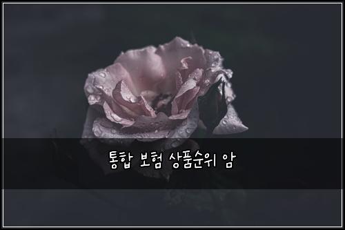 통합 보험 상품순위  암