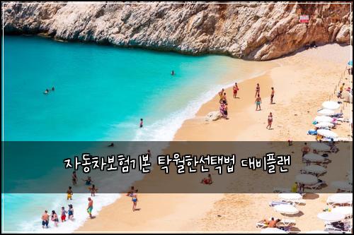 자동차보험기본 탁월한선택법 대비플랜