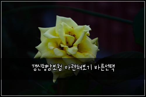 갱신형암보험 마련해보기  바른선택