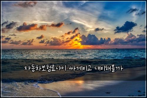 자동차보험료나이 싸게비교 대비해볼까