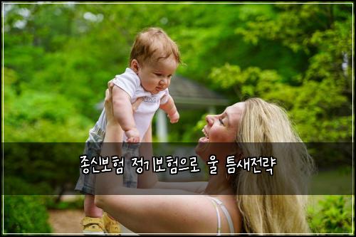 종신보험 정기보험으로 울 틈새전략