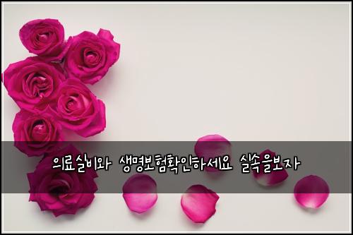 ์๋ฃ์ค๋น์ ์๋ช
๋ณดํํ์ธํ์ธ์ ์ค์์๋ณด์