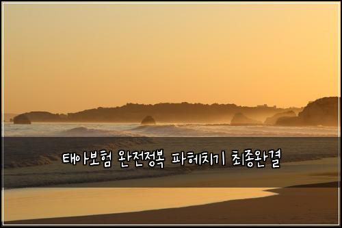 태아보험 완전정복  파헤치기 최종완결