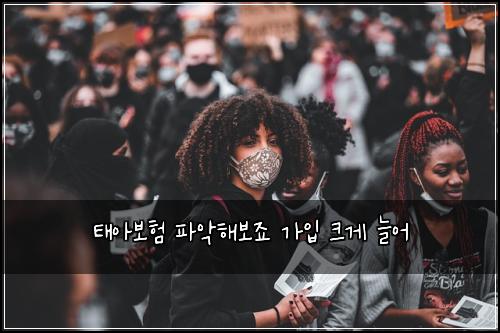 태아보험 파악해보죠  가입 크게 늘어