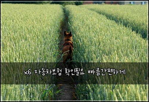 x6 ์๋์ฐจ๋ณดํ ํ์ธํ์ ๋น ๋ฆ๊ฐํธํ๊ฒ