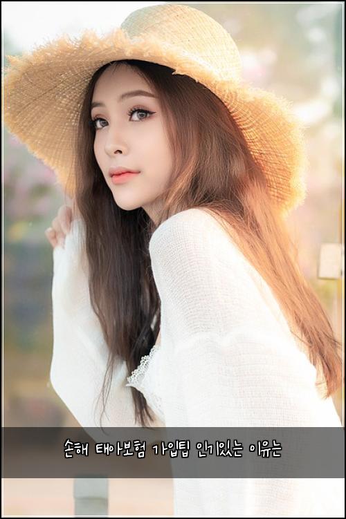손해 태아보험 가입팁  인기있는 이유는