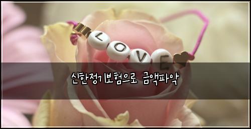 신한정기보험으로 금액파악