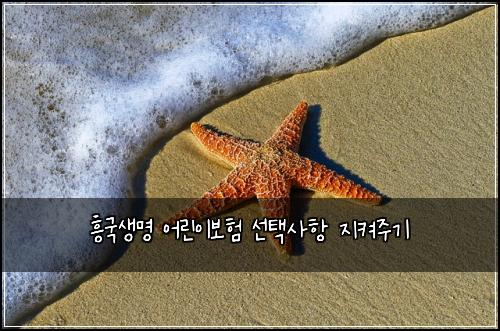 흥국생명 어린이보험 선택사항  지켜주기