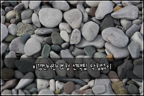 비갱신어린이보험 선택팁  막힘없이