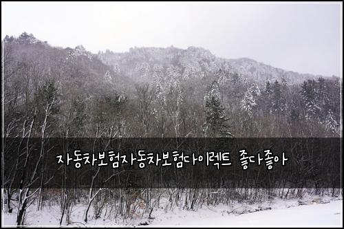 자동차보험자동차보험다이렉트 좋다좋아