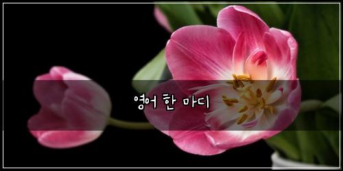 영어 한 마디