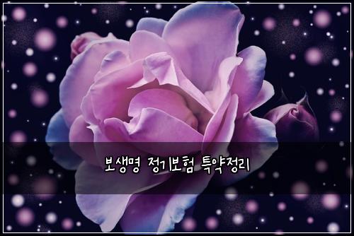 보생명 정기보험 특약정리 