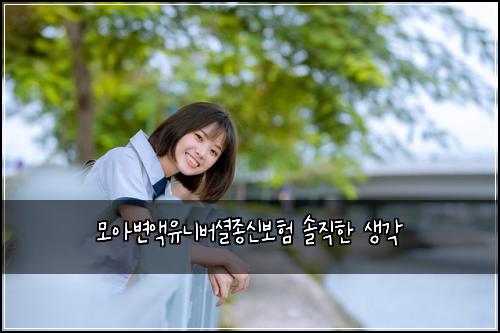 모아변액유니버셜종신보험 솔직한 생각