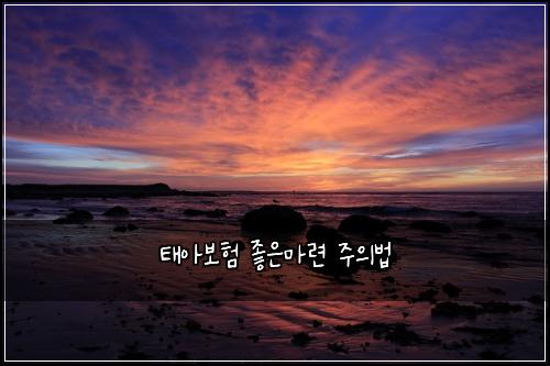 태아보험 좋은마련  주의법