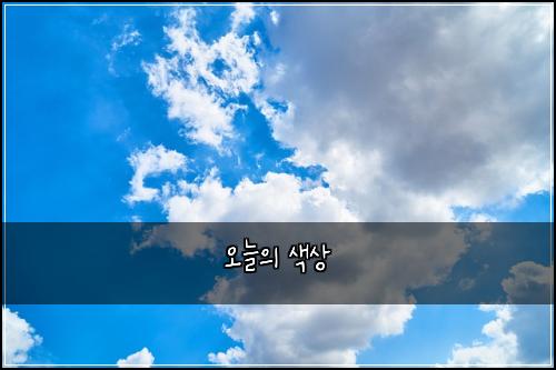 오늘의 색상
