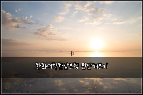 한화더착한암보험 판단해보기 