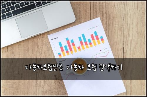 자동차보험싼곳 자동차 보험 탐색하기