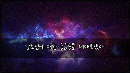 암보험에 대한 궁금증들 제대로했다