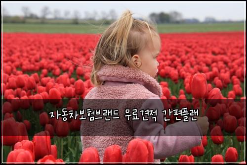 자동차보험브랜드 무료견적 간편플랜