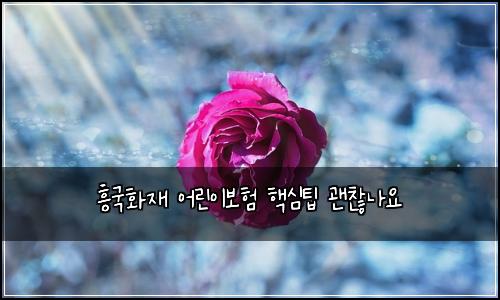 흥국화재 어린이보험 핵심팁  괜찮나요