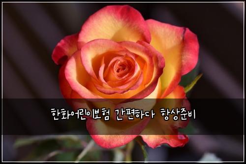 한화어린이보험 간편하다  항상준비