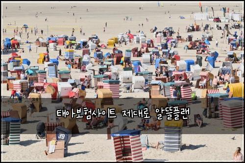 태아보험사이트 제대로 알뜰플랜