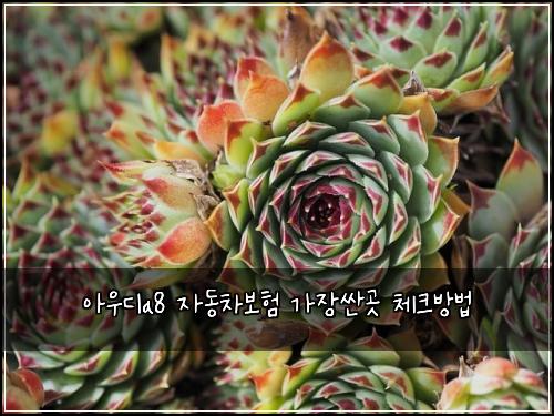 아우디a8 자동차보험 가장싼곳  체크방법