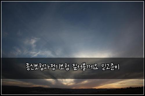 종신보험과정기보험 짚어볼께요 믿고준비