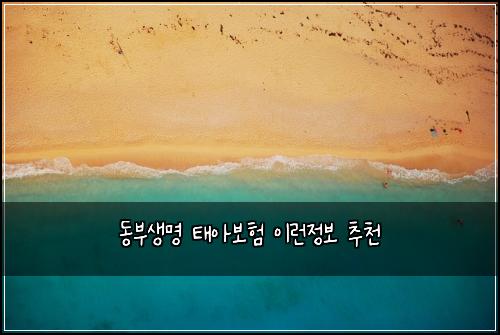 동부생명 태아보험 이런정보  추천