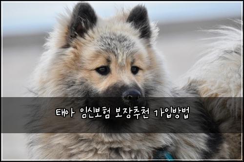 ํ์ ์์ ๋ณดํ ๋ณด์ฅ์ถ์ฒ ๊ฐ์
๋ฐฉ๋ฒ