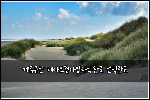 계류유산 태아보험가입파악완료 선택완료