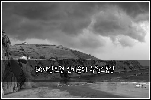 50세암보험 인기순위  뉴원스톱암