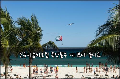 신규자동차보험 특약필수  여기보다 좋나요