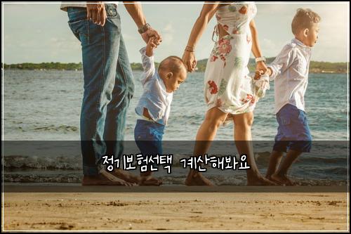 정기보험선택 계산해봐요