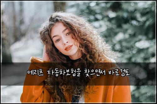 메리츠 자동차보험을 찾으면서 바로검토