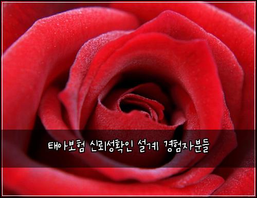 태아보험 신뢰성확인  설계 경험자분들