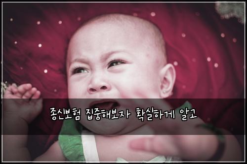 종신보험 집중해보자  확실하게 알고