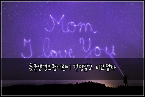 흥국생명보험어린이 걱정말고 비교절차