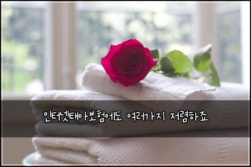 인터넷태아보험에도 여러가지 저렴하죠
