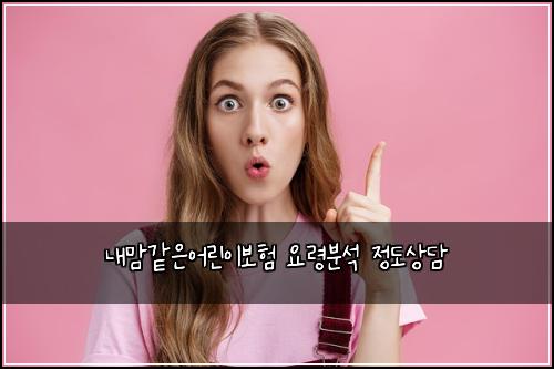 내맘같은어린이보험 요령분석  정도상담