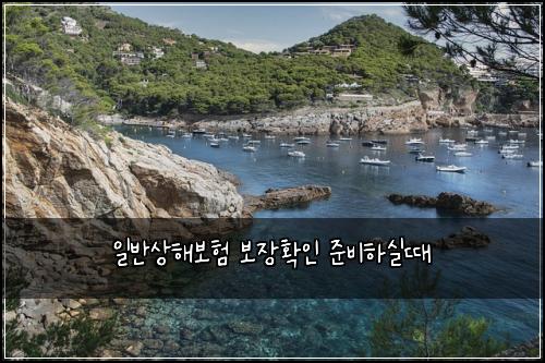 ์ผ๋ฐ์ํด๋ณดํ ๋ณด์ฅํ์ธ ์ค๋นํ์ค๋