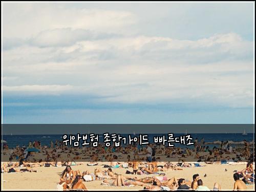 위암보험 종합가이드  빠른대조