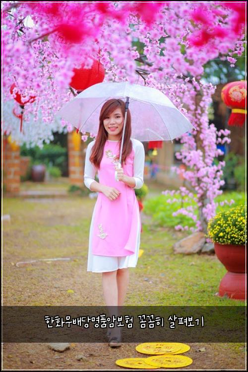한화무배당명품암보험 꼼꼼히 살펴보기