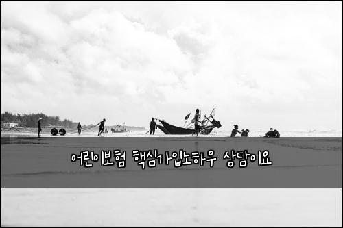 어린이보험 핵심가입노하우  상담이요