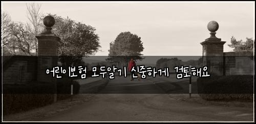 어린이보험 모두알기  신중하게 검토해요