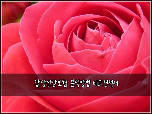 갑상선암보험 분석방법  비교견적서
